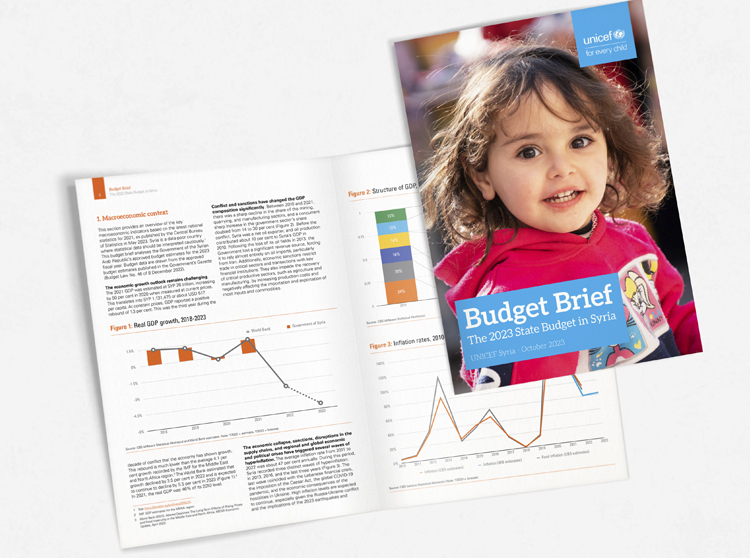 Financial Report Design and Complex Data Layout for Non-Profit Sector - Graphic Designer Halifax